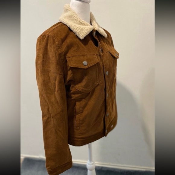 Express Corduroy Sherpa Lines Jacket - Picture 5 of 9